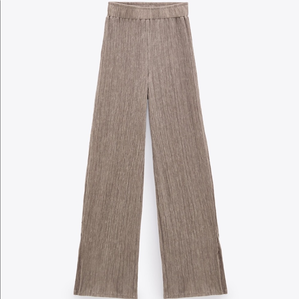 NWOT Zara Pleated Pants